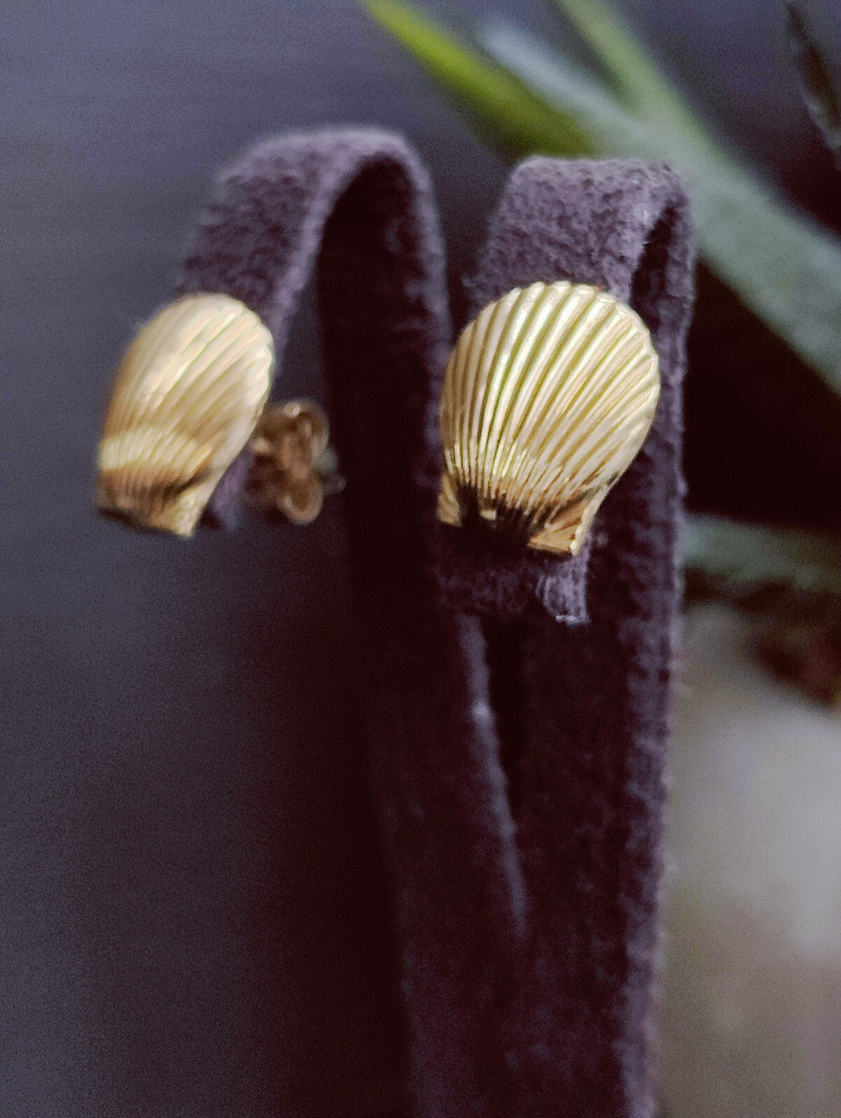 NEW 9ct Solid Yellow Shell Stud Earrings Holiday Summer Jewellery 1.7grams