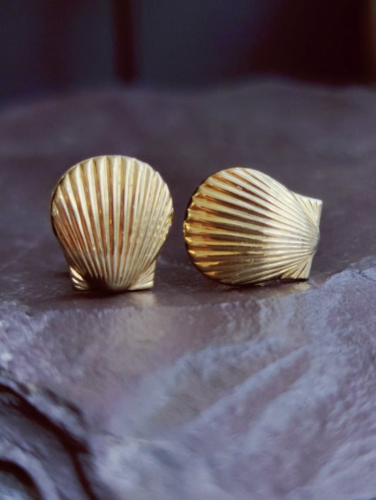 NEW 9ct Solid Yellow Shell Stud Earrings Holiday Summer Jewellery 1.7grams