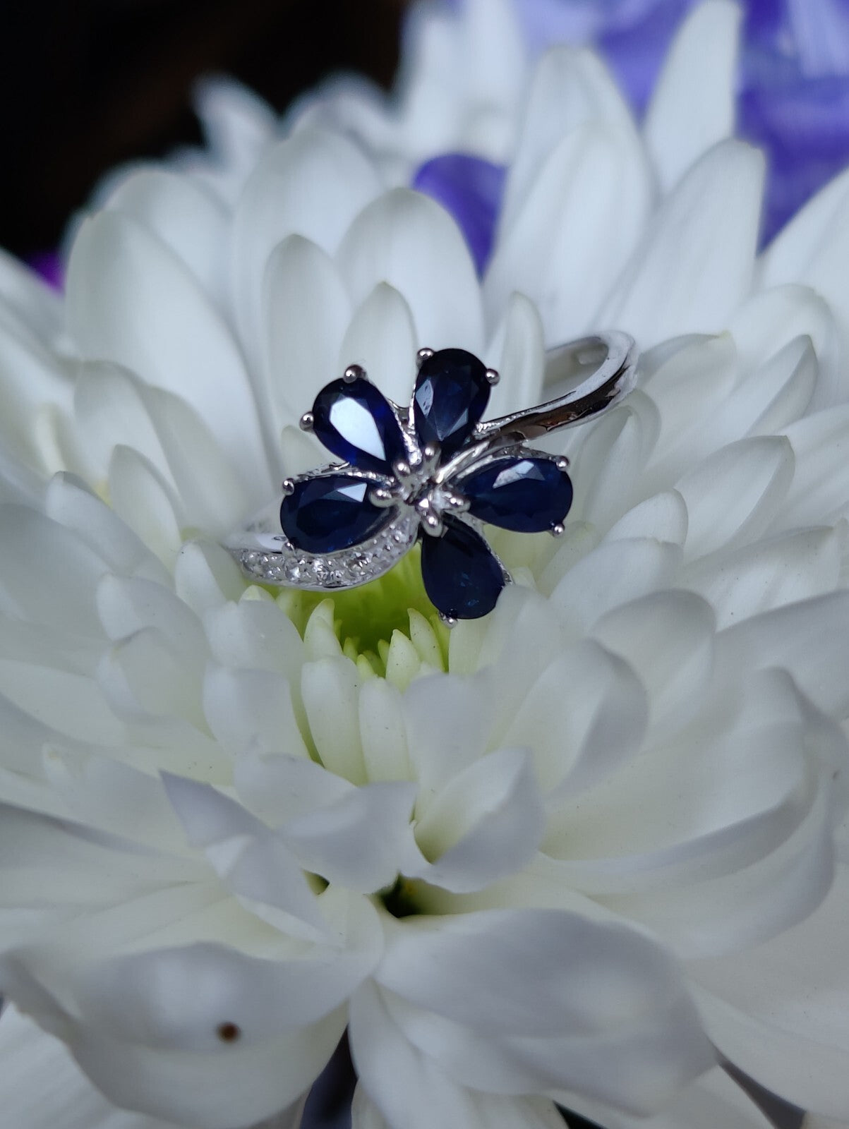Absolutely Stunning 9ct White Gold Sapphires and Diamonds Flower Ring size P+