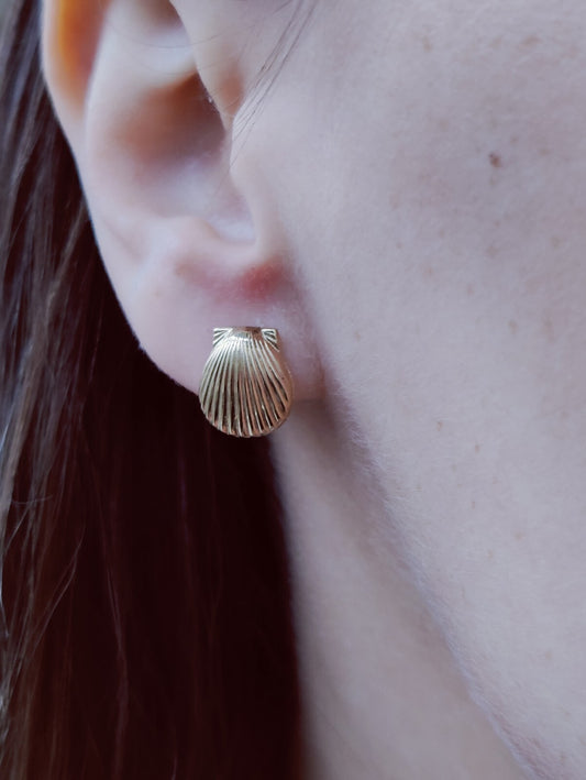 NEW 9ct Solid Yellow Shell Stud Earrings Holiday Summer Jewellery 1.7grams