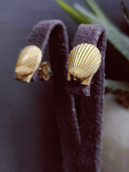 NEW 9ct Solid Yellow Shell Stud Earrings Holiday Summer Jewellery 1.7grams